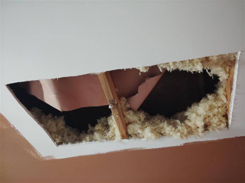 ceiling during drywall repair Preview Image 1