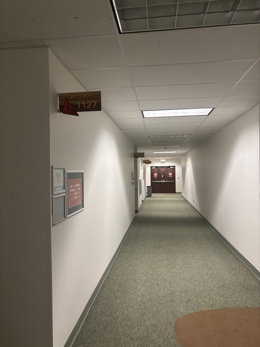 carpeted hallway with white painted walls Preview Image 3
