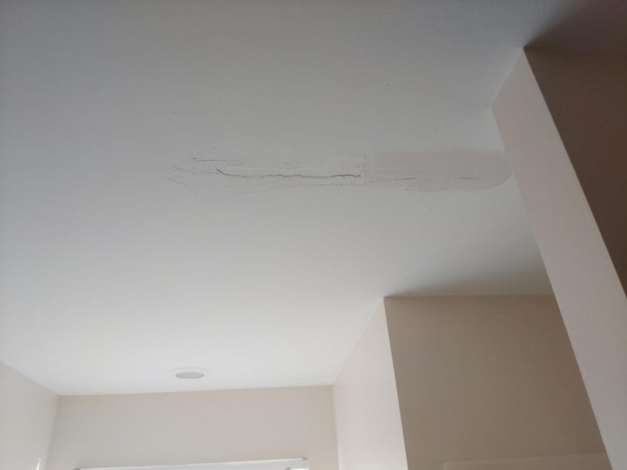 ceiling with water leak damage Preview Image 4