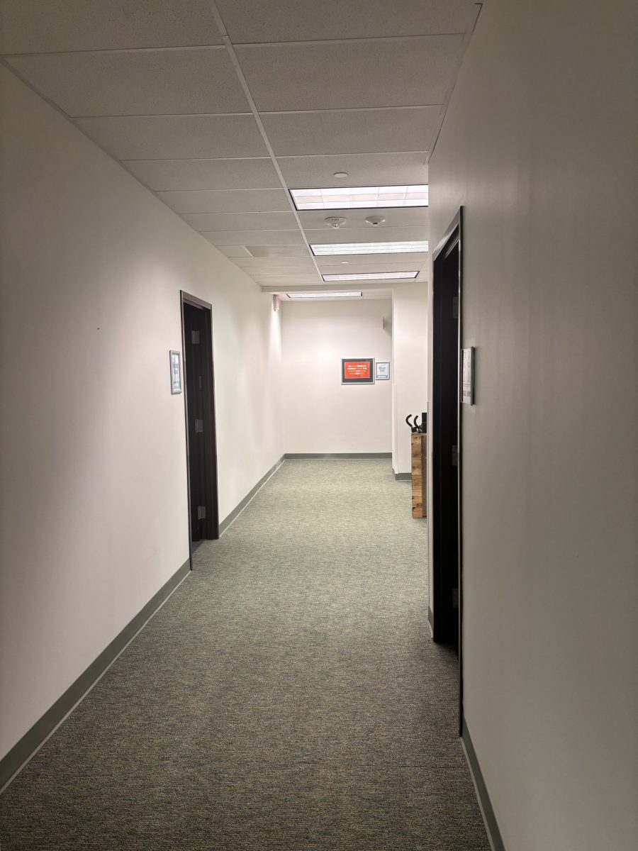 carpeted hallway with white painted walls Preview Image 1