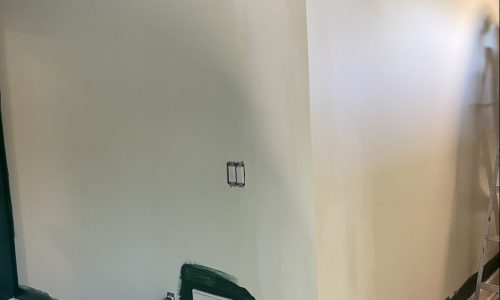 Plain White to Rich Green