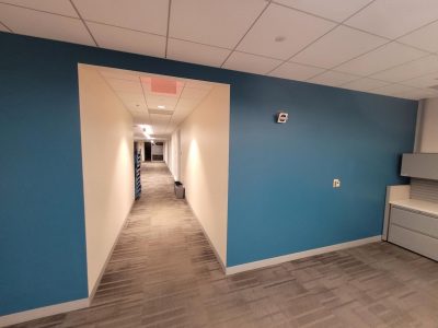 blue painted wall in office