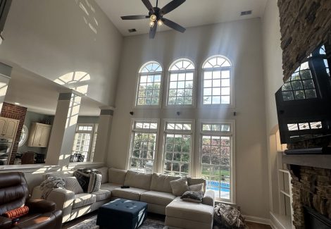 painted vaulted ceilings