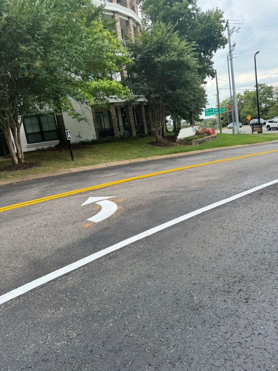 roadway with freshly painted striping Preview Image 1