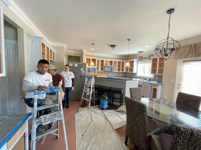 Cabinet Removal Repaint Preview Image 2