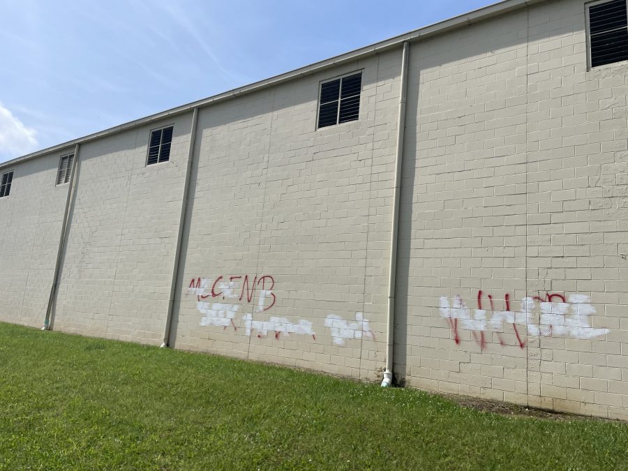 Commercial Painting Project Preview Image 1