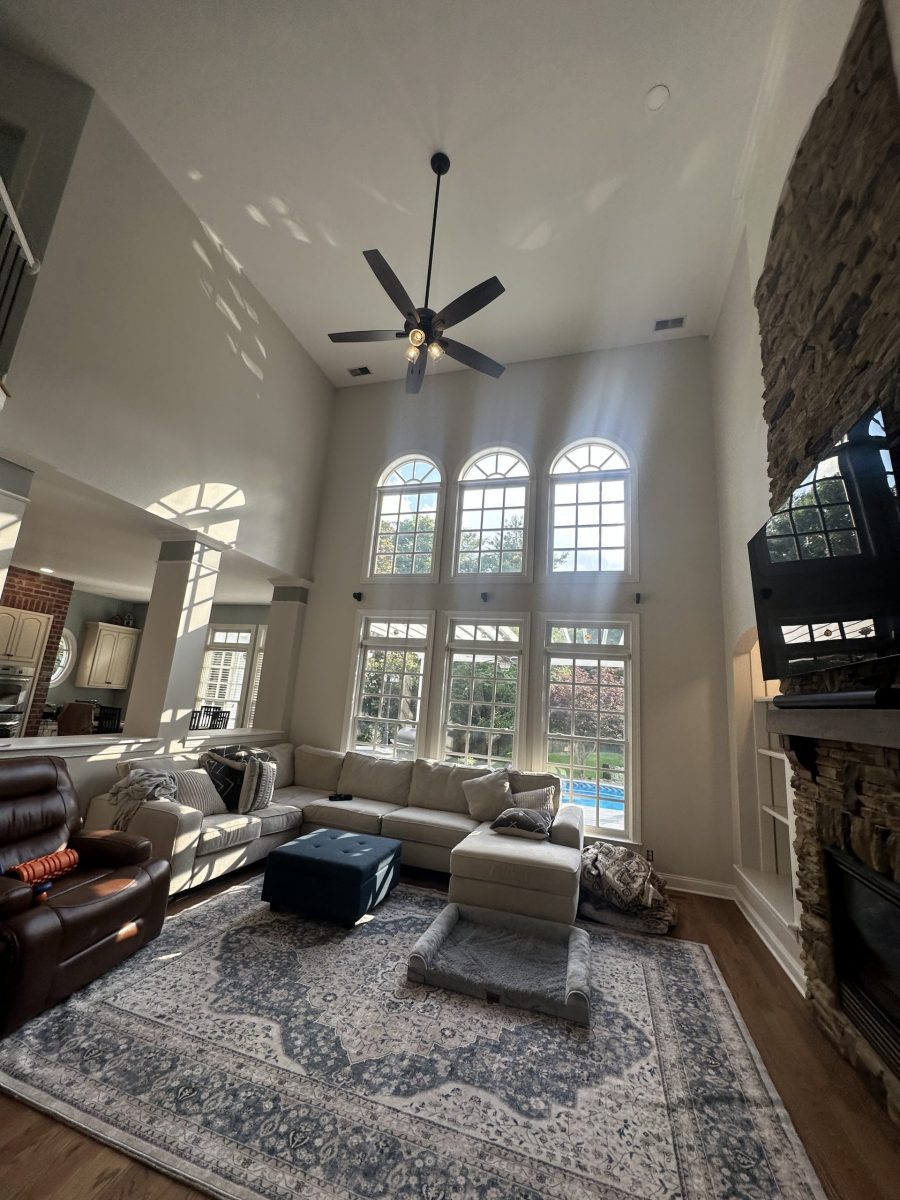 painted vaulted ceilings Preview Image 1