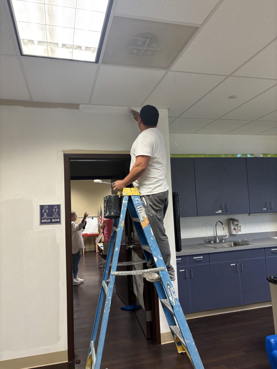 painter on ladder painting wall Preview Image 6