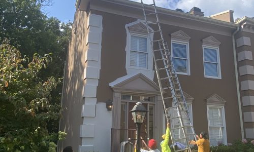 Painting in Progress