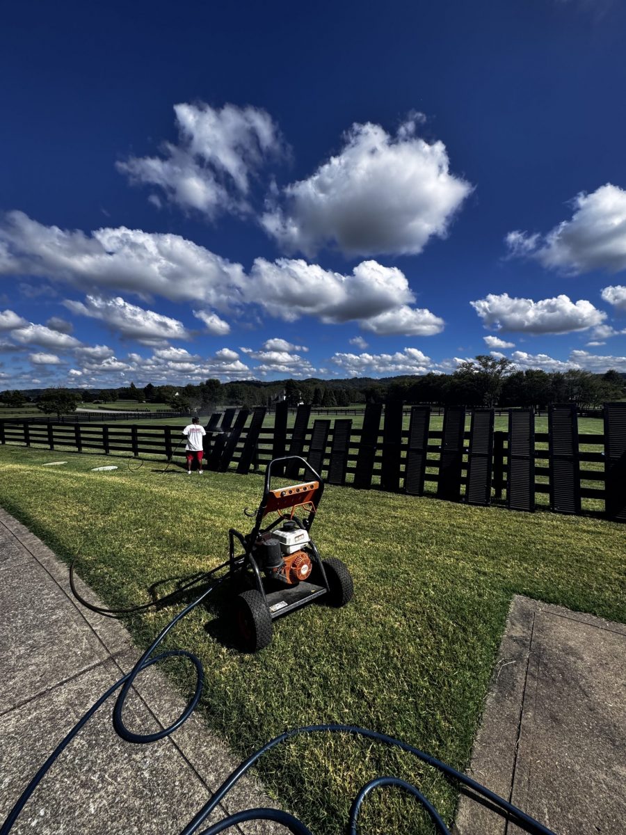 painted shutters drying against fence Preview Image 5