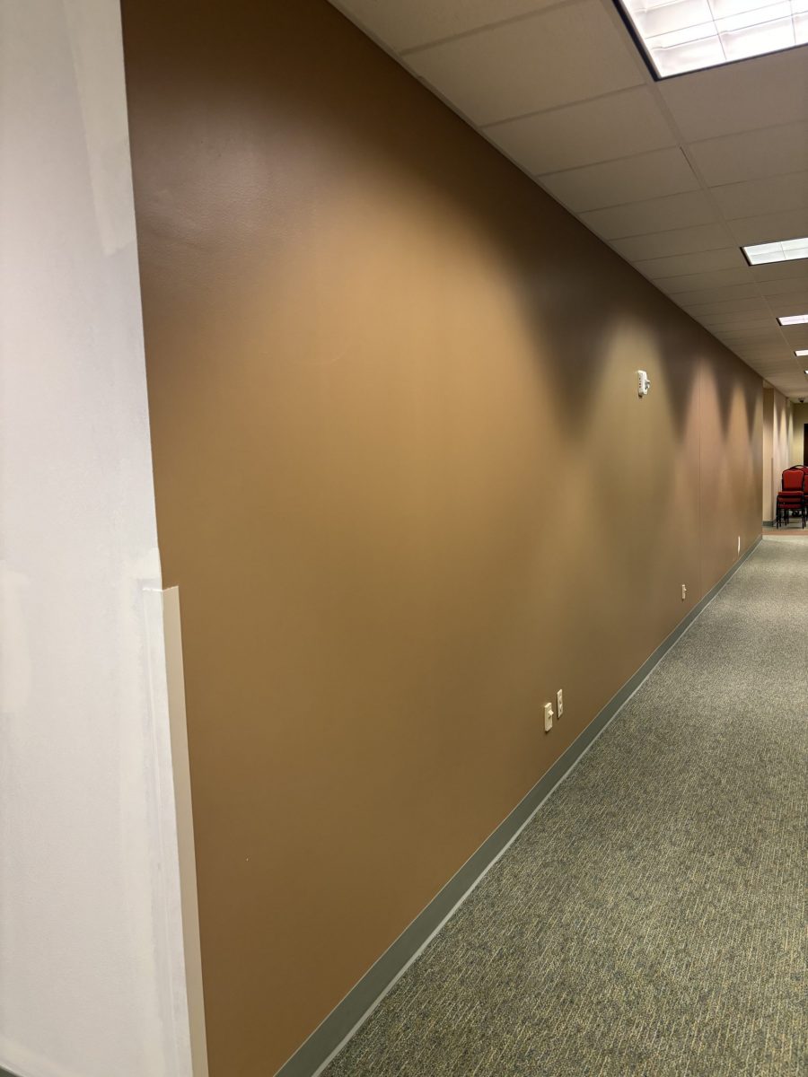carpeted hallway with brown painted wall Preview Image 12