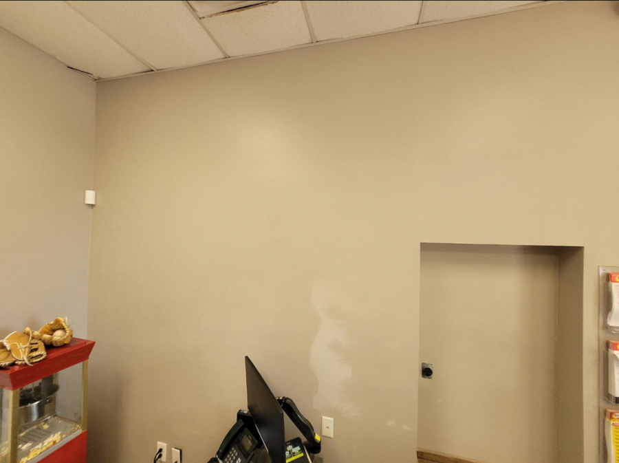 tan painted office wall Preview Image 2