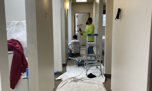 Rear Hallway In-Progress