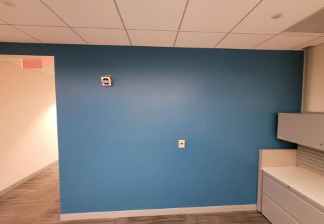 blue painted wall in office