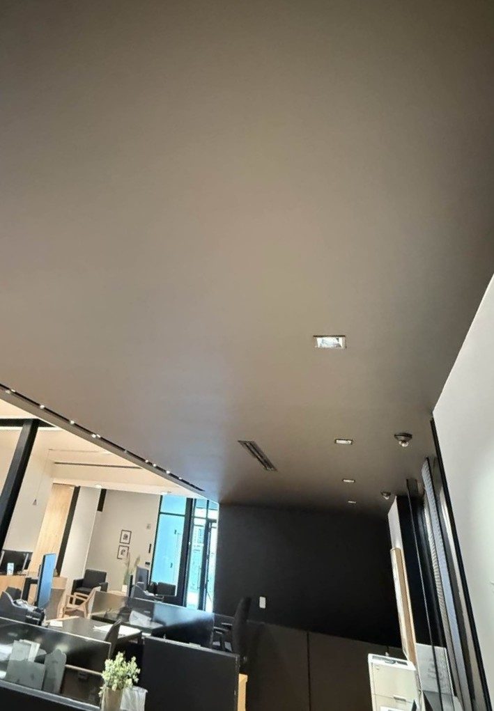 painted ceiling in office space Preview Image 6