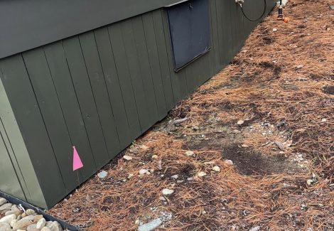 Newly Installed Deck Painting