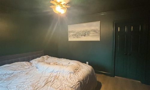 Color Drenched Bedroom