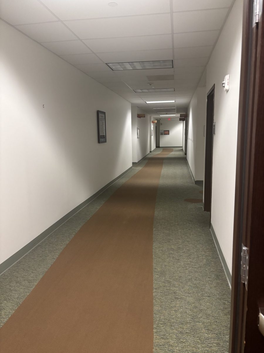 carpeted hallway with white painted walls Preview Image 2