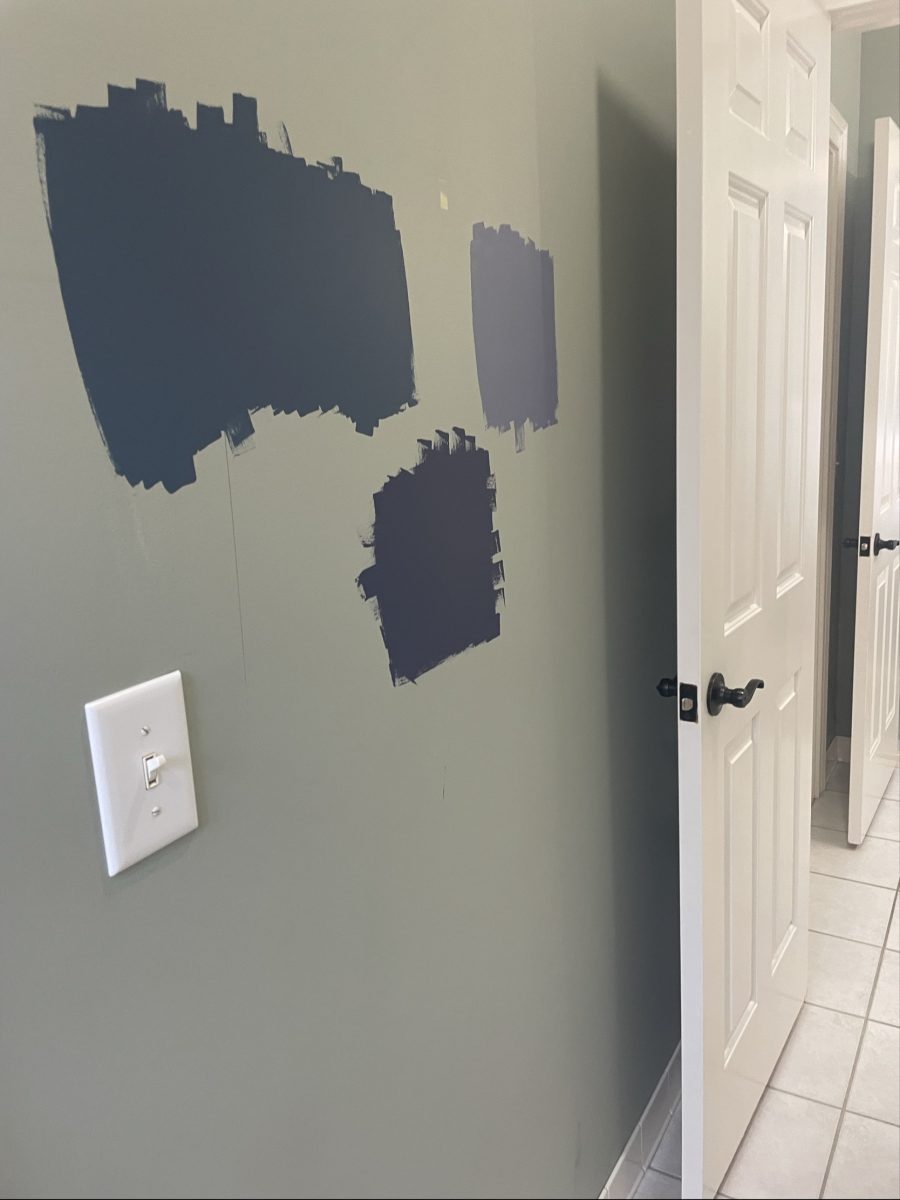 bathroom wall with paint color swatches Preview Image 2