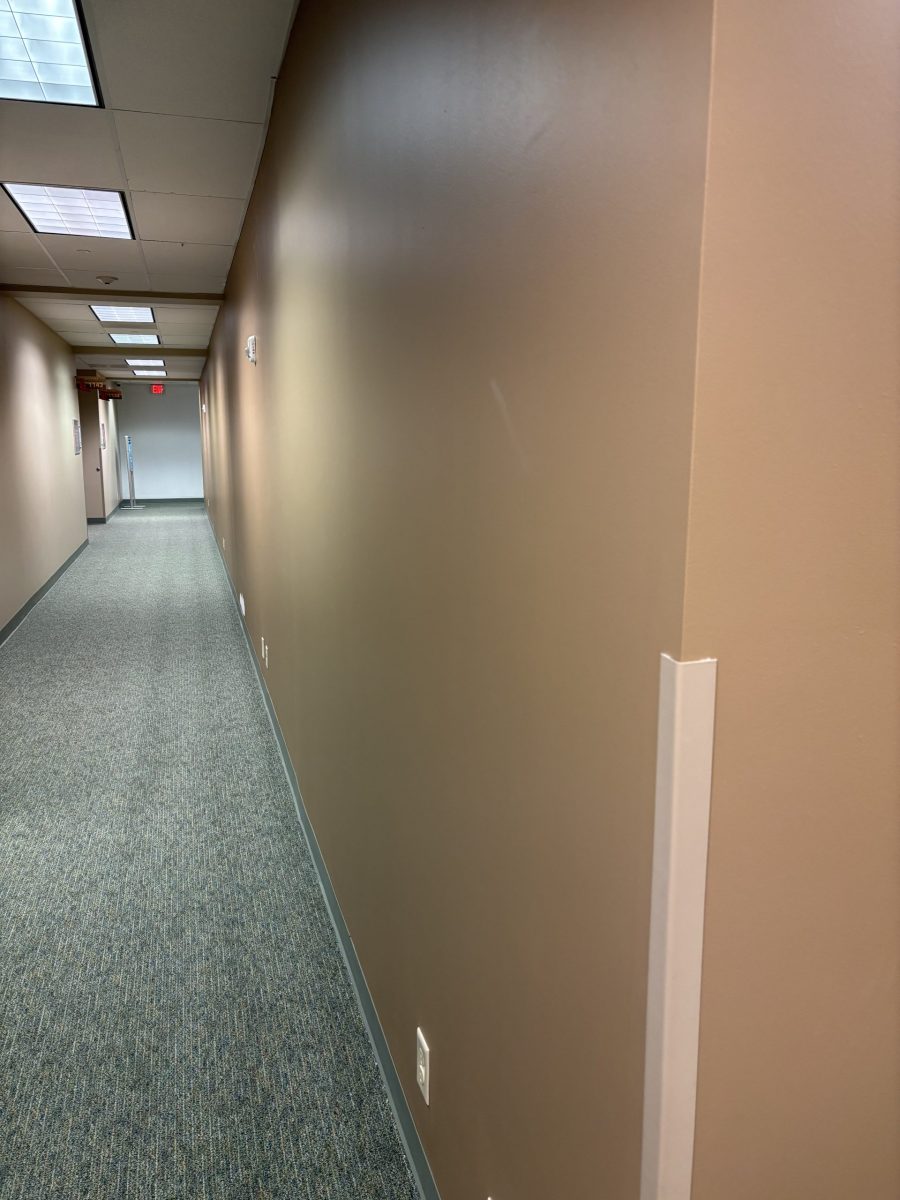 carpeted hallway with brown painted wall Preview Image 7