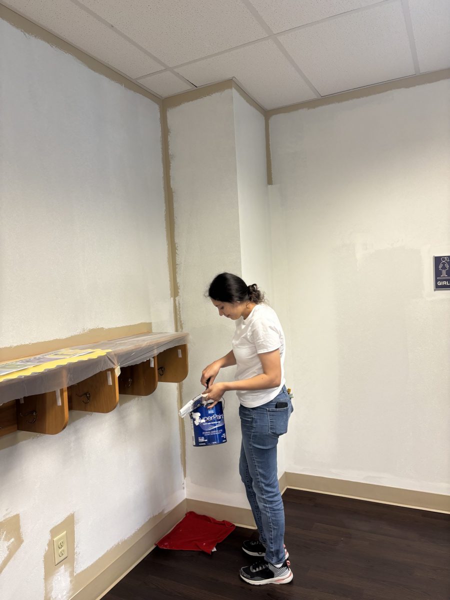 woman painting wall around shelf Preview Image 5