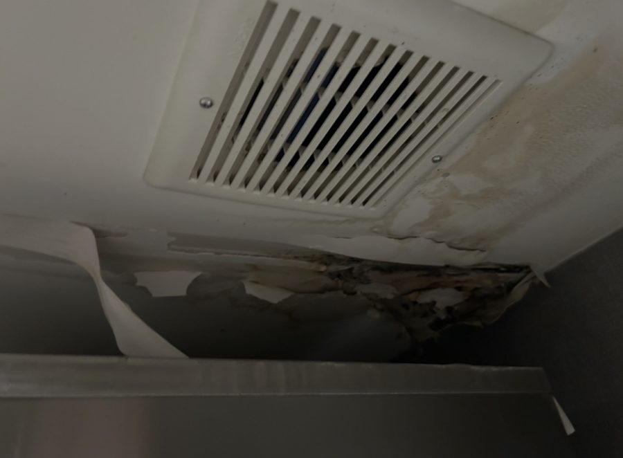 water damage on drywall ceiling Preview Image 1