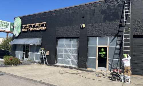 Painting in Progress