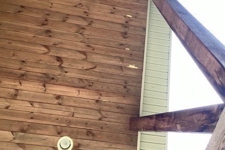 Woodpecker Damage on Ceiling