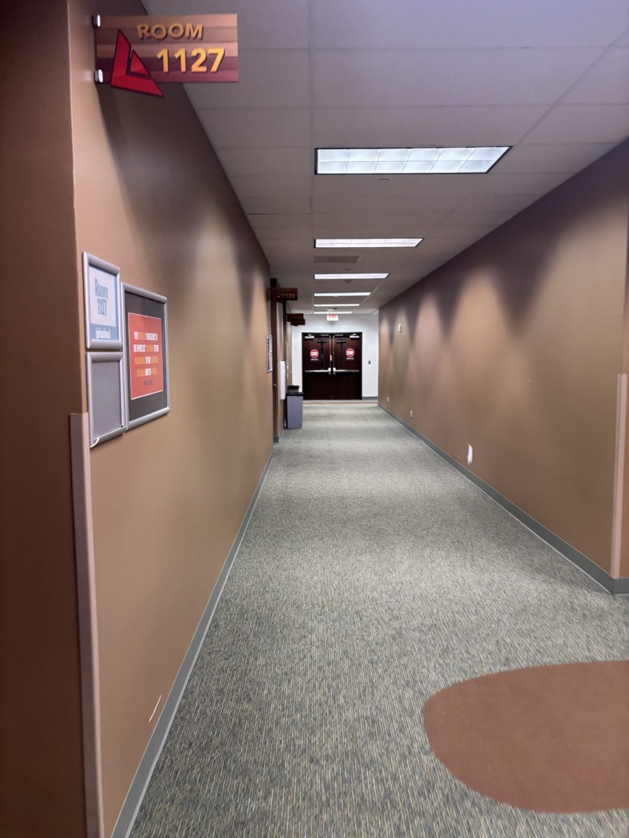 carpeted hallway with brown painted walls Preview Image 10