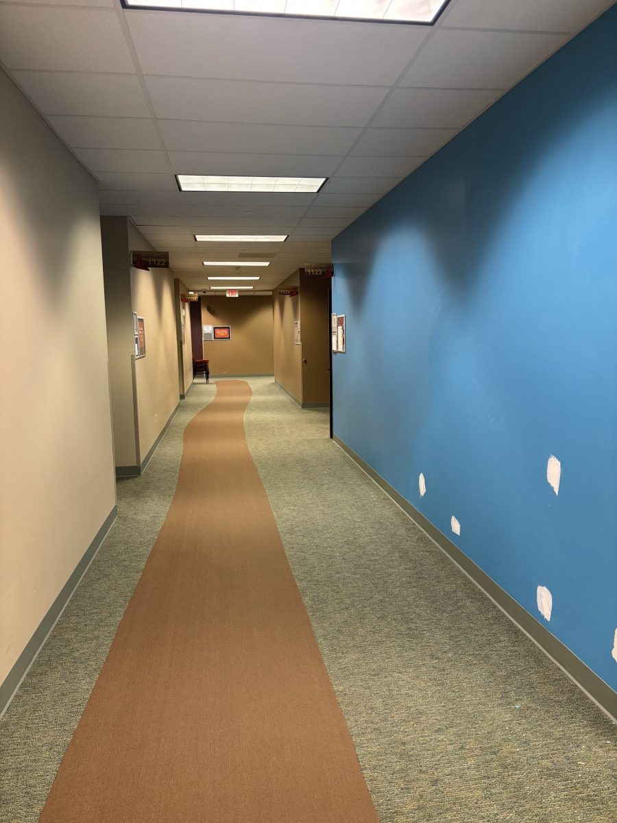 carpeted hallway with blue and tan painted walls Preview Image 8