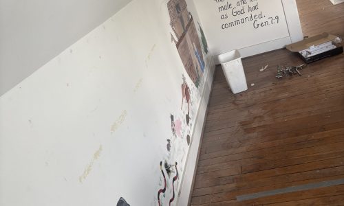 Peeling & Flaking Paint