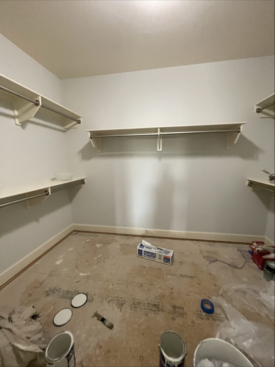walk in closet after white repaint Preview Image 3