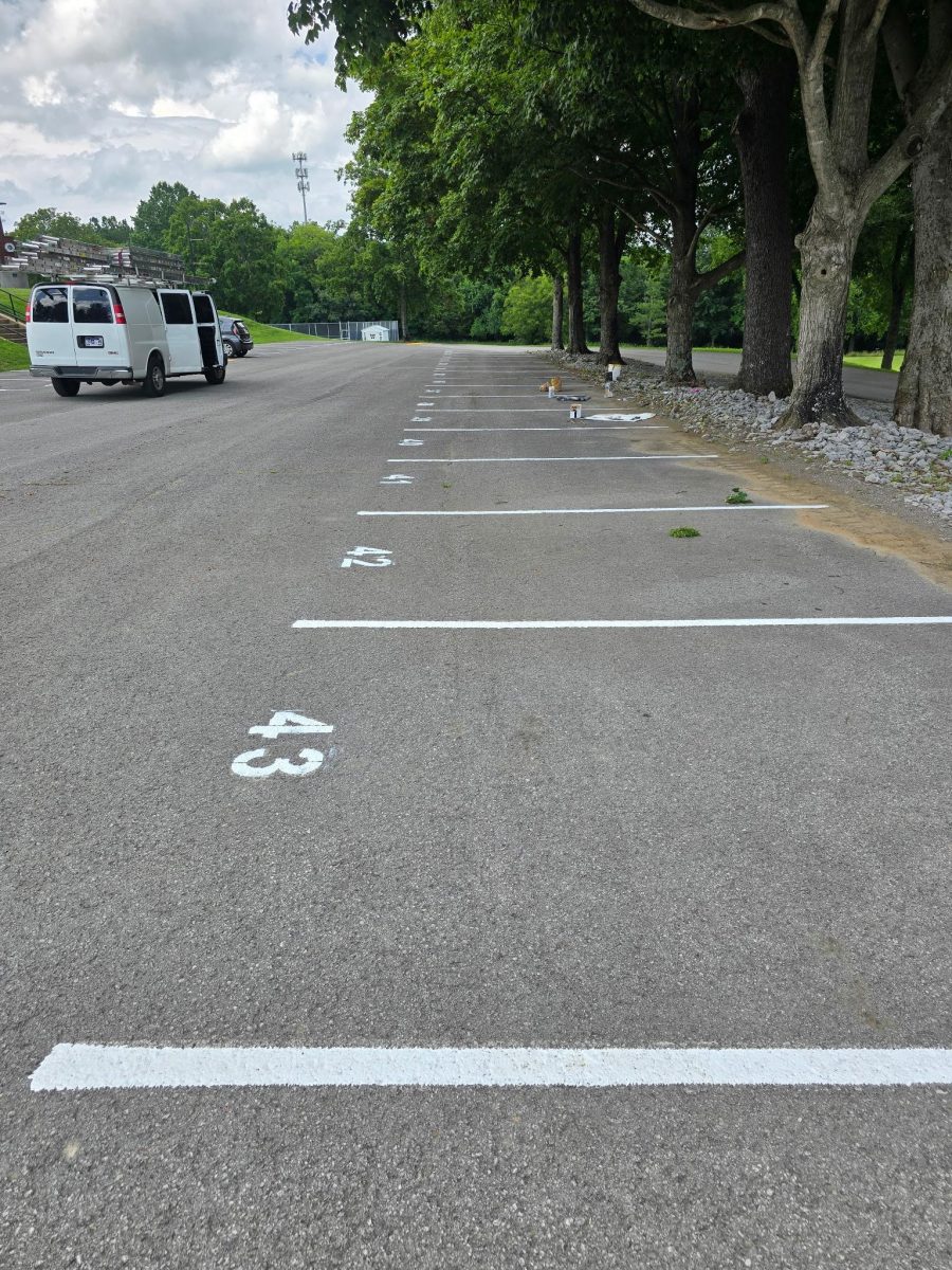 parking lot with repainted striping and space numbers Preview Image 2