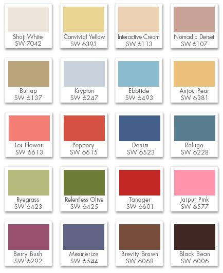Nashville CertaPro Fashion Paint Palette