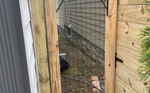 Fence with Mesh