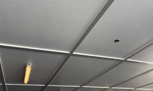 Revived Carport Ceiling