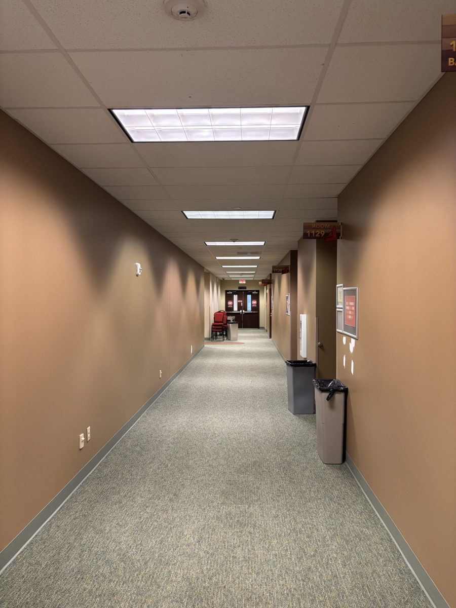 carpeted hallway with brown painted wall Preview Image 11