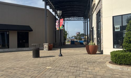 Refinished Canopy Structure