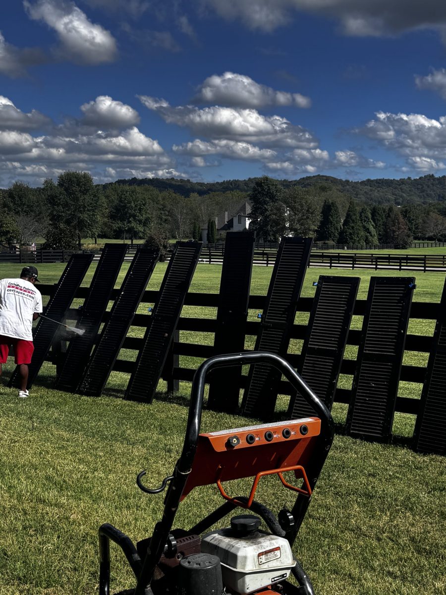 painted shutters drying against fence Preview Image 6