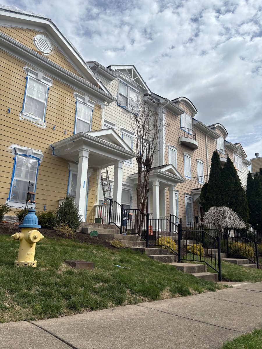 exterior of row of townhouses Preview Image 6