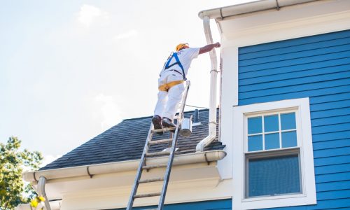 Tall or Short - We Paint It