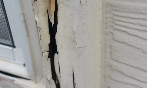 Failing / Rotting Wood on Window Trim