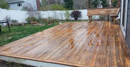 Needham Deck Painting Project