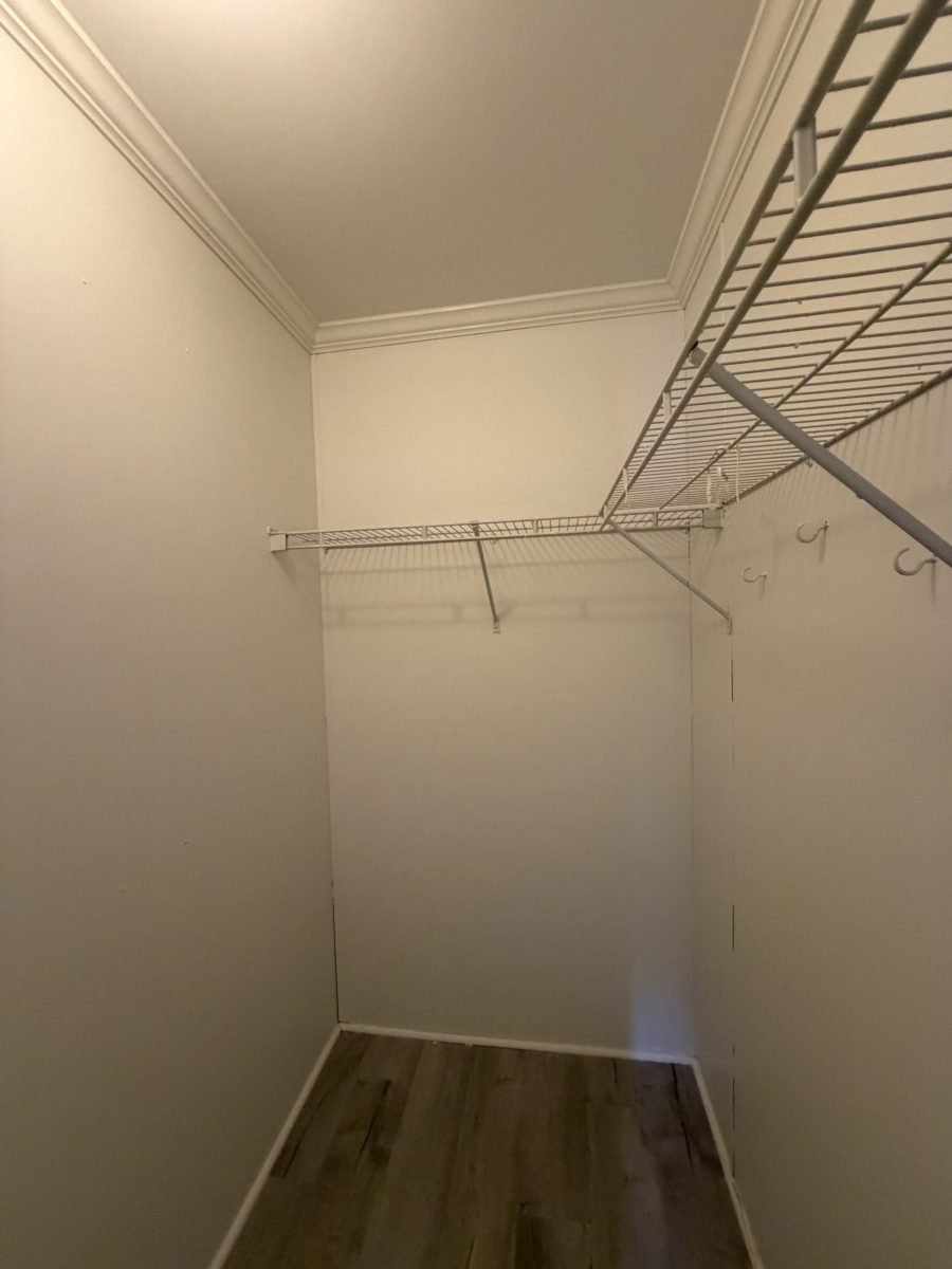 repainted closet interior Preview Image 7