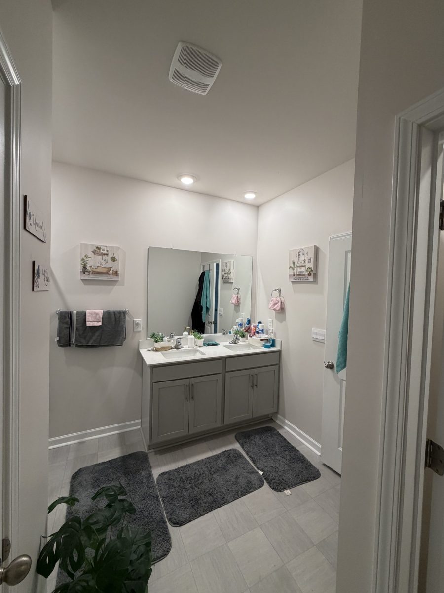 white painted home interior bathroom Preview Image 7