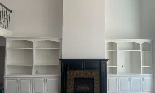 Living Room With Built In Shelves