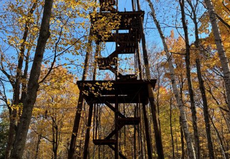 Observation Tower Staining Project