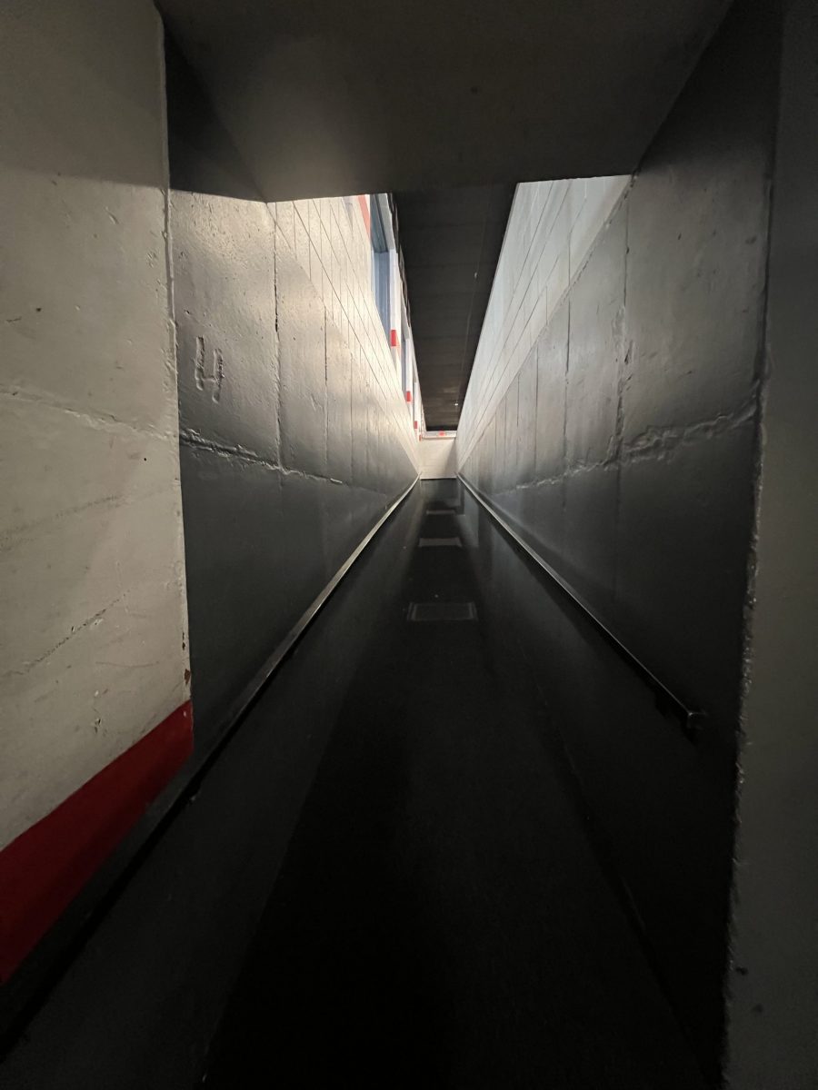 hallway with dark grey paint Preview Image 7