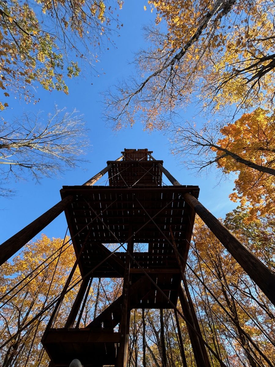 Observation Tower Preview Image 2