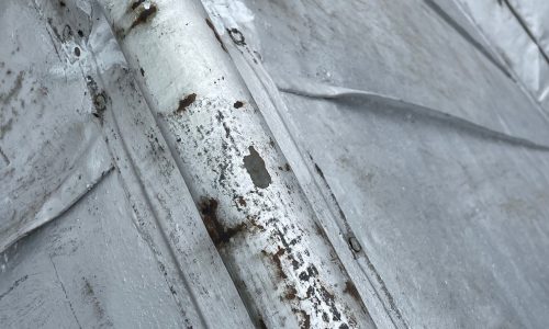 Failing Paint on Roof